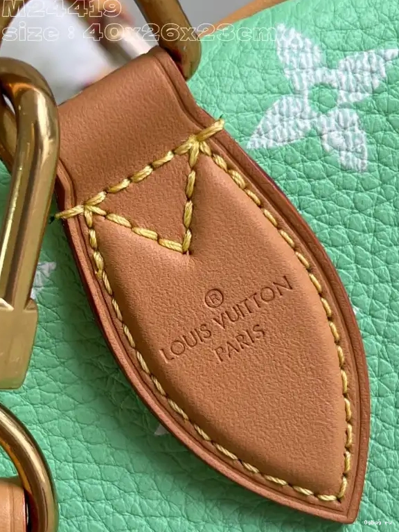 40 Vuitton SPEEDY Louis 0519